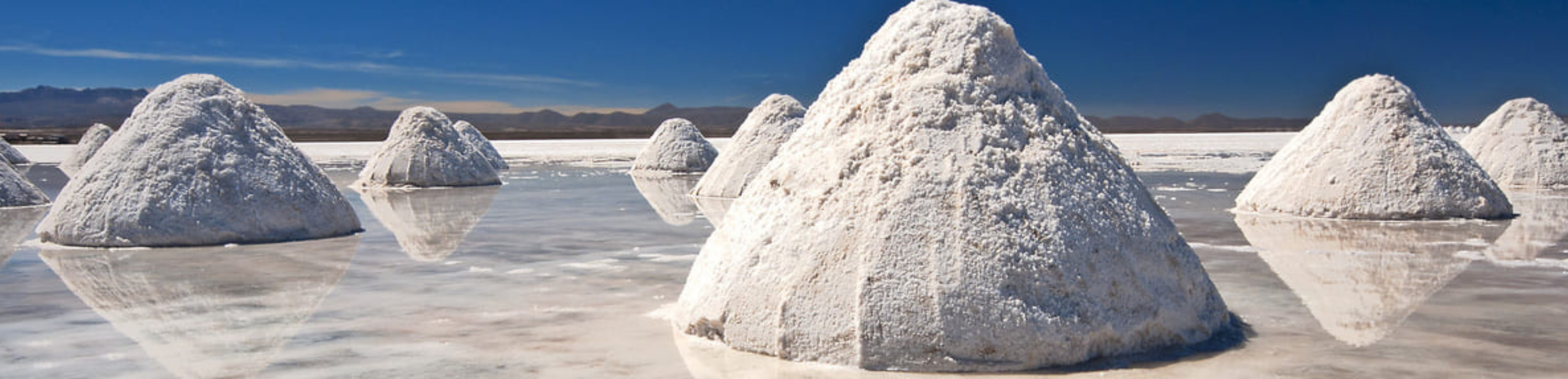 Sal de Atacama vs Sal del Himalaya